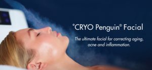 Cryo Penguin Facial in Oakland County MI | FACE Beauty Science